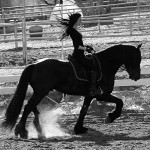 Au trot, au galop. אחד כוח סוס